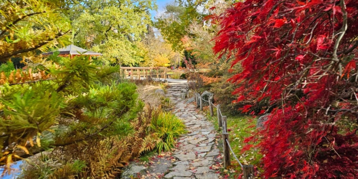 Ogród Japoński we Wrocławiu w jesiennej odsłonie