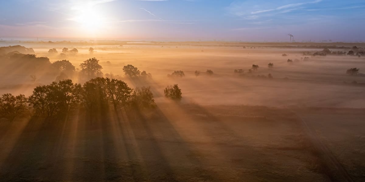Widok na pola irygacyjne