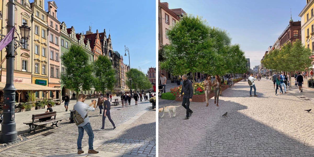 Zdjęcie dzielone na pół: od lewej wizualizacja nasadzeń nowych drzew na wrocławskim Rynku; po prawej - wizualizacja nowych drzew na odcinku ul. Świdnickiej między Rynkiem a ul. Kazimierza Wielkiego.