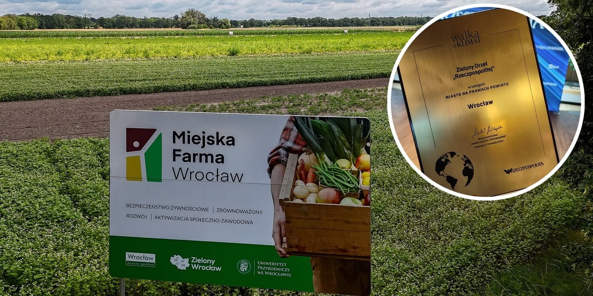 Zdjęcie główne - widok na pole z uprawami - Miejska Farma Wrocław; w prawym rogu mniejsze zdjęcie okrągłe - nagroda Zielony Orzeł "Rzeczpospolitej" dla Wrocławia. 