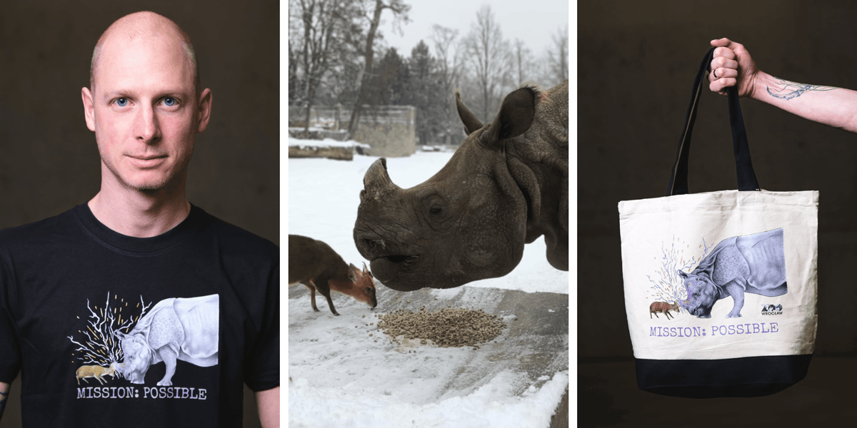 Kolaż 3 zdjęć. Od lewej: Marcin Borowski, opiekun zwierząt kopytnych w ZOO Wrocław prezentuje koszulkę  z grafiką Macieja Matuszaka, opiekuna małp, mundżak chiński Tata i samica nosorożca indyjskiego Marusia, torba z grafiką.