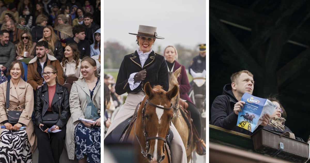Partynice rozpoczęły sezon! Tłumy Wrocławian na Torze Wyścigów Konnych [ZDJĘCIA]