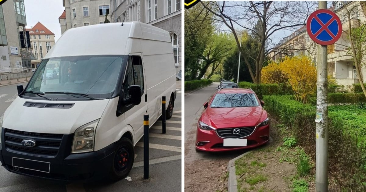 Tak nie parkujemy. Statystyki interwencji Straży Miejskiej