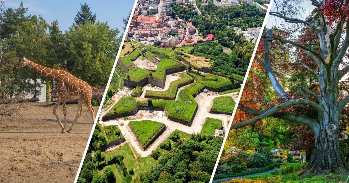 Wrocław i Dolny Śląsk gotowe na otwarcie nowego sezonu turystycznego