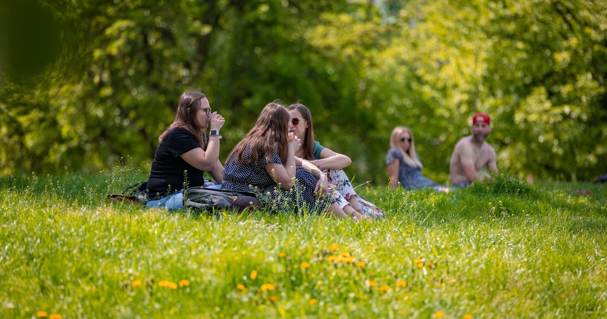 Przymrozki i upał dzieli kilka dni. Pogoda na majówkę we Wrocławiu