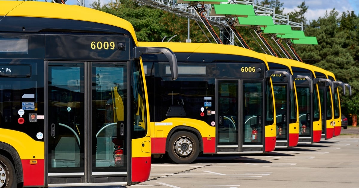 4 czerwca: Więcej autobusów na Ladies Day na Wrocławskim Torze Wyścigów Konnych Partynice