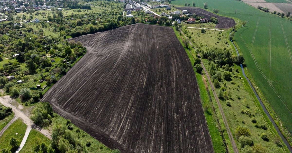 Park na Brochowie będzie większy. Ruszają konsultacje z mieszkańcami