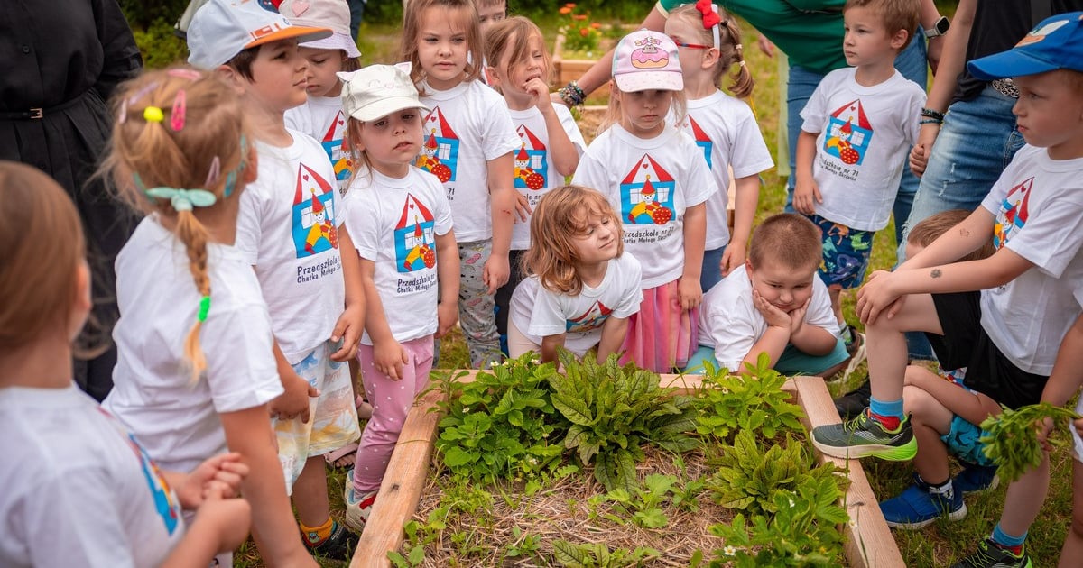 Miejska Farma Wrocław. Rusza trzeci sezon i strefa edukacyjna dla dzieci