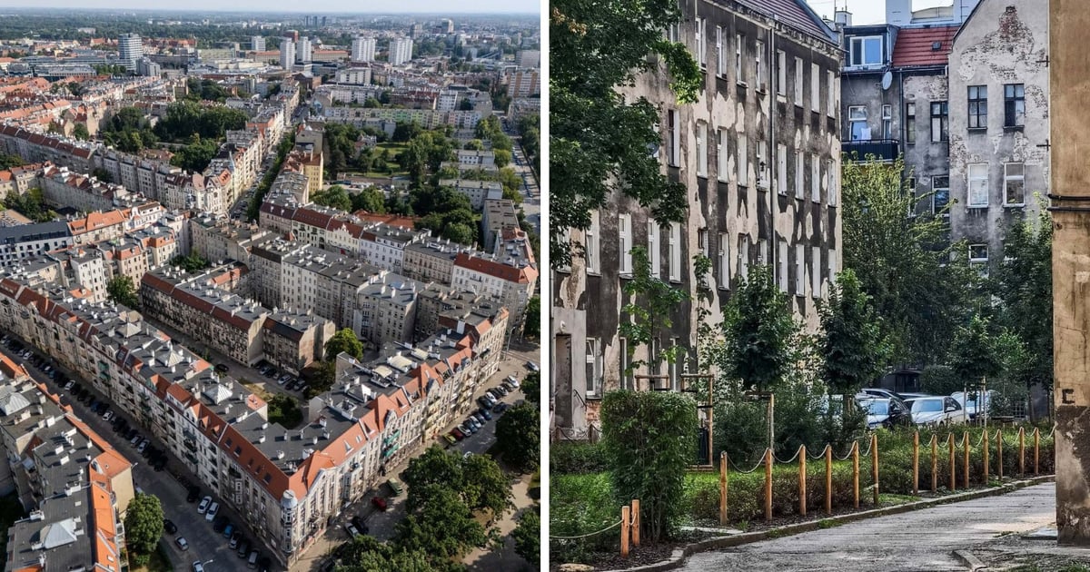 Kamienice z oficyny na Ołbinie czeka termomodernizacja