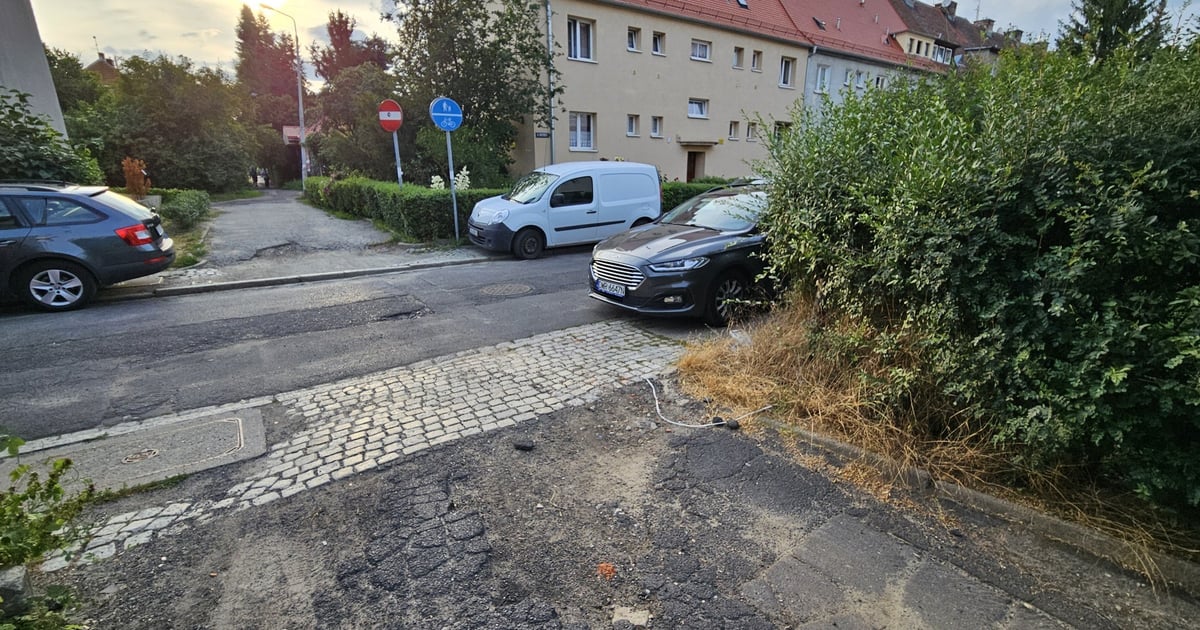 Rusza remont ważnej trasy pieszo-rowerowej na Biskupinie. Będą utrudnienia