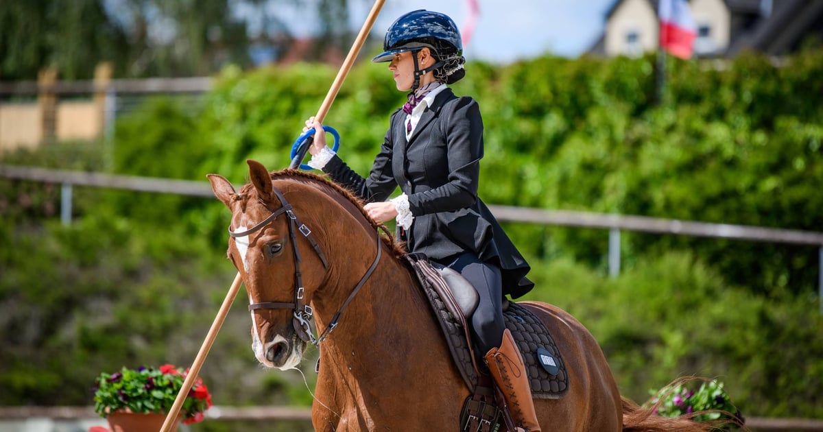 Wrocławianka Anna Skrzypek jedzie na Mistrzostwa Świata w Working Equitation