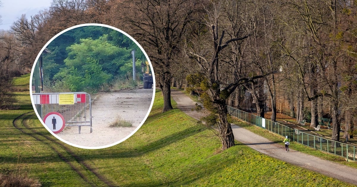 Spacer i jazda rowerem po wałach będą przyjemniejsze. Trwa remont ścieżek