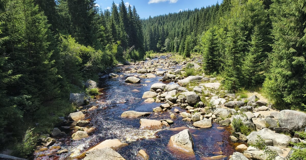 Pomysł na weekend: kraina źródeł Izery, sudeckiej czarnej rzeki