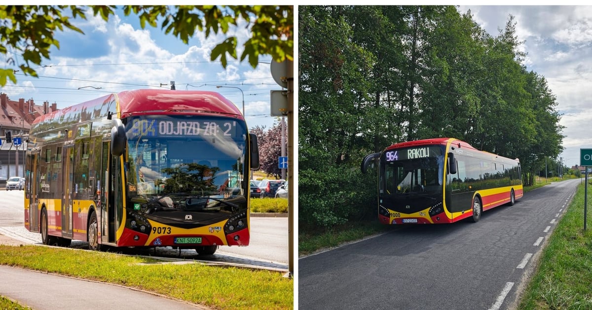 Przywrócenie zawieszonych linii, zmiany tras w Gminie Długołęka