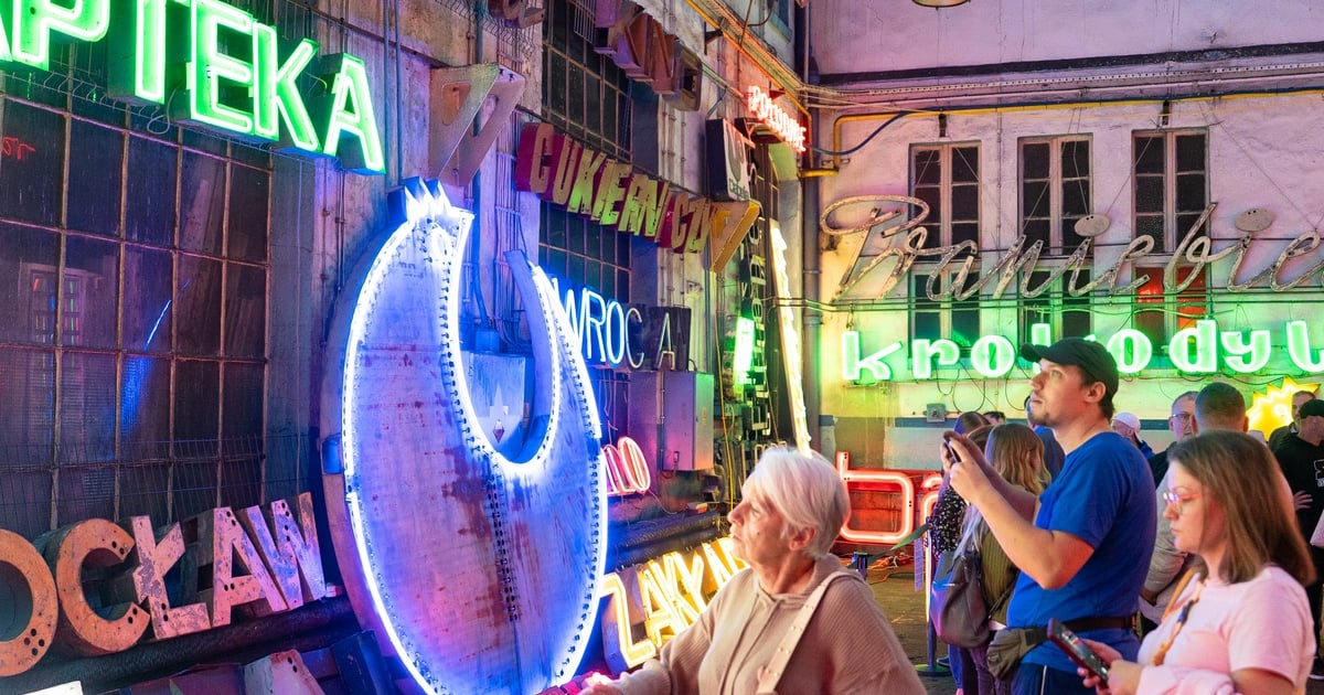 Olśniewająca Noc Neonów. Zachwycające „Krokodyl” i „Kura”