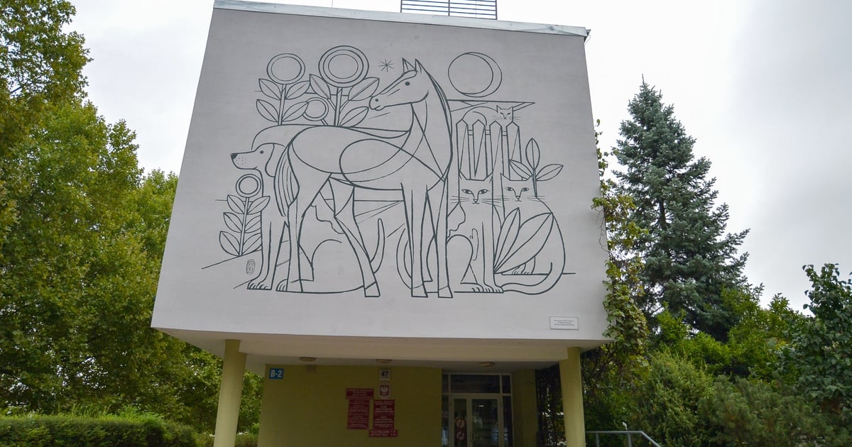 Uniwersytet Przyrodniczy: Piękny mural na elewacji kliniki weterynarii