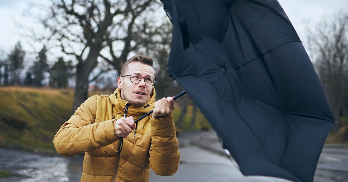 IMGW ostrzega przed silnym wiatrem wieczorem i w nocy we Wrocławiu