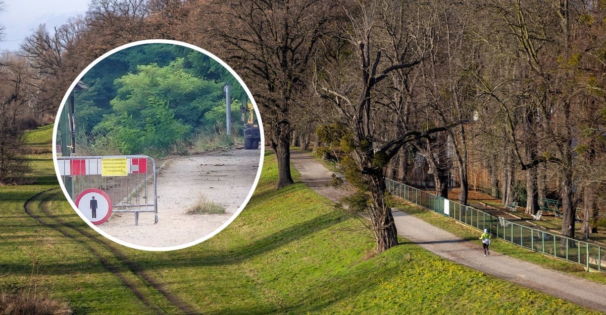 Chwilowy zakaz wstępu na część wałów we Wrocławiu. Rutynowe działania