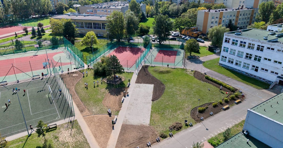 Mniej betonu, więcej zieleni. „Budujemy klimat!” we wrocławskich szkołach