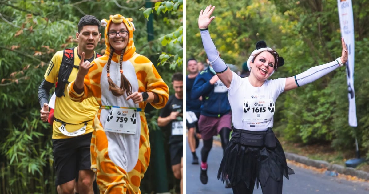 Dziesiąty bieg dla dziesięciu gatunków. Wild Run 2026 już w niedzielę