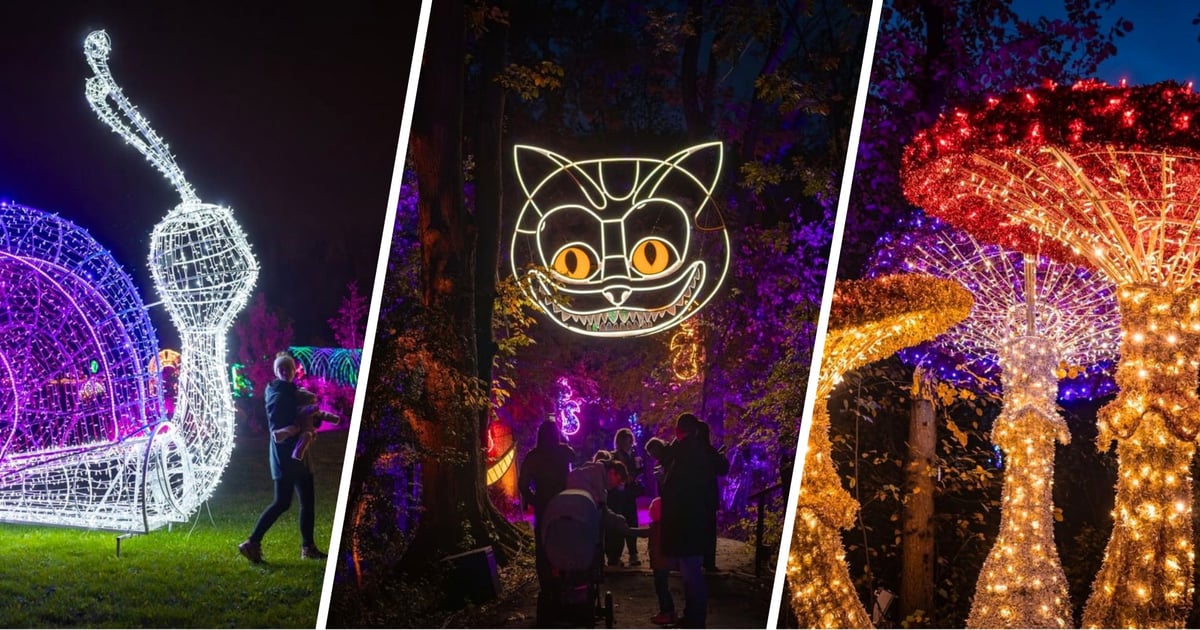 Niezwykła podróż przez epoki! Otwiera się Lumina Park w Zamku Topacz