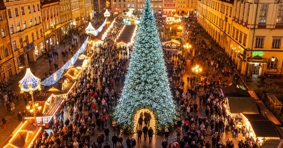 Choinka z tunelem! Takiej we Wrocławiu jeszcze nie było