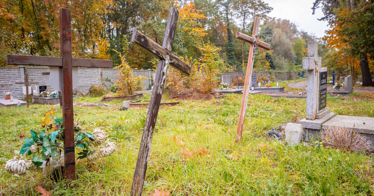 Wolontariusze posprzątają mogiły NN. Rusza akcja "Groby niczyje"