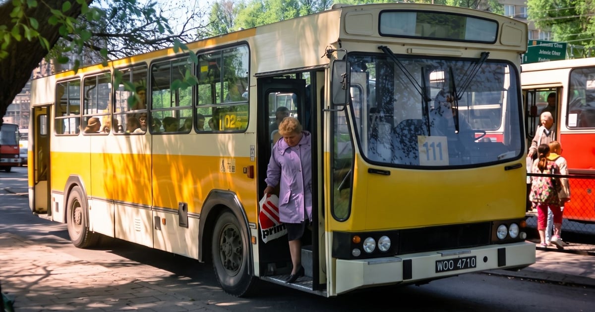 Bezpłatne przejażdżki przez Wrocław legendarnym Jelczem L11
