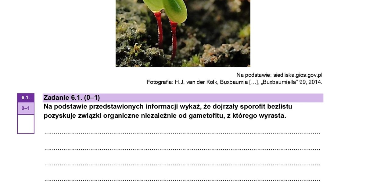 Rozszerzona matura z biologii 2024 z CKE - 14 maja. Kolejne egzaminacy