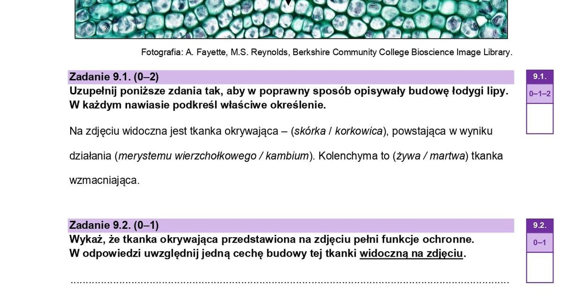 Rozszerzona matura z biologii 2024 z CKE - 14 maja. Kolejne egzaminacy