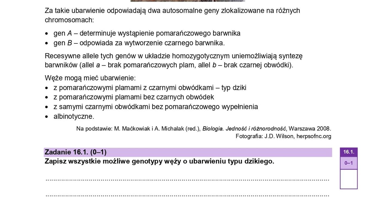 Próbna matura z biologii, poziom rozszerzony. Sprawdź arkusze