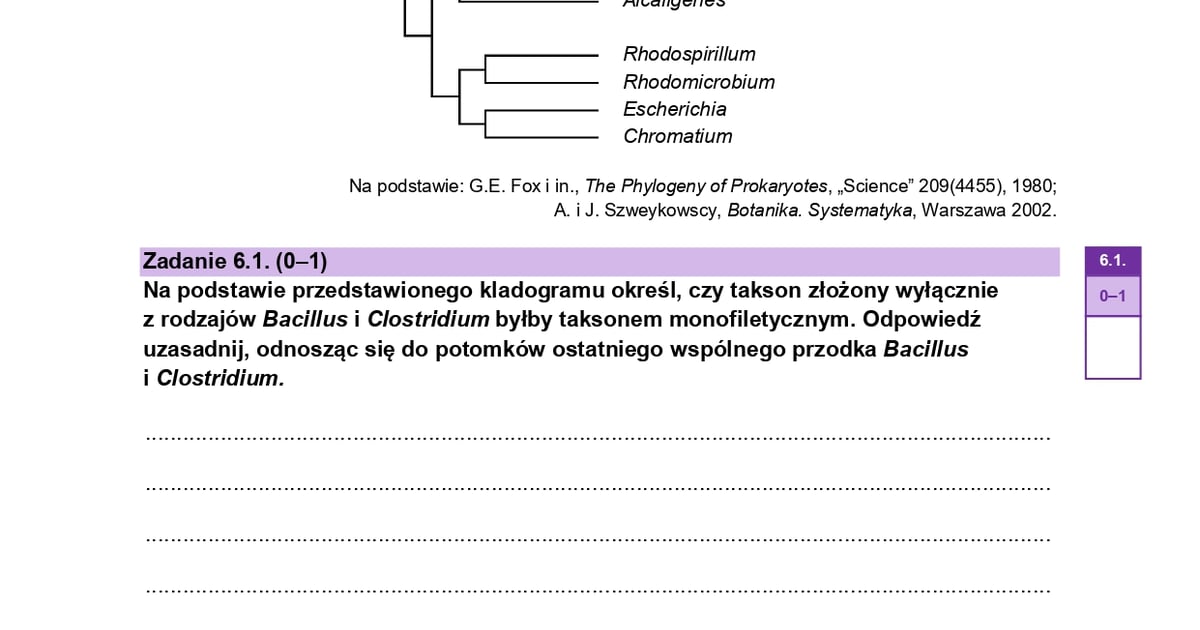 Próbna matura z biologii, poziom rozszerzony. Sprawdź arkusze
