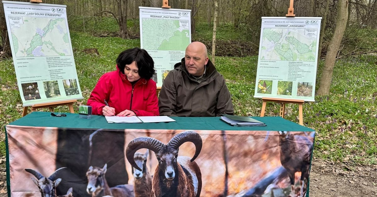 Trzy nowe rezerwaty przyrody na Dolnym Śląsku. To ponad 520 ha