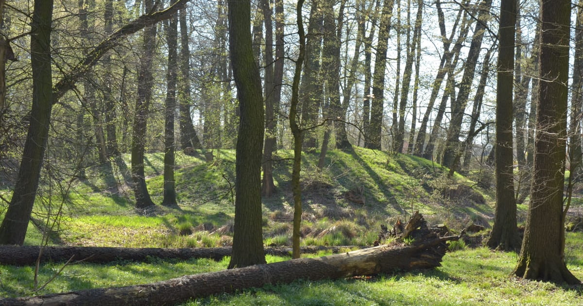 Trzy grody z Goldsmeden. Czy Złotniki są starsze od Wrocławia?