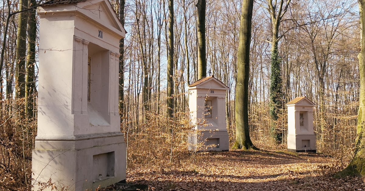 Nostalgiczna droga krzyżowa skryta w lesie pod Wrocławiem