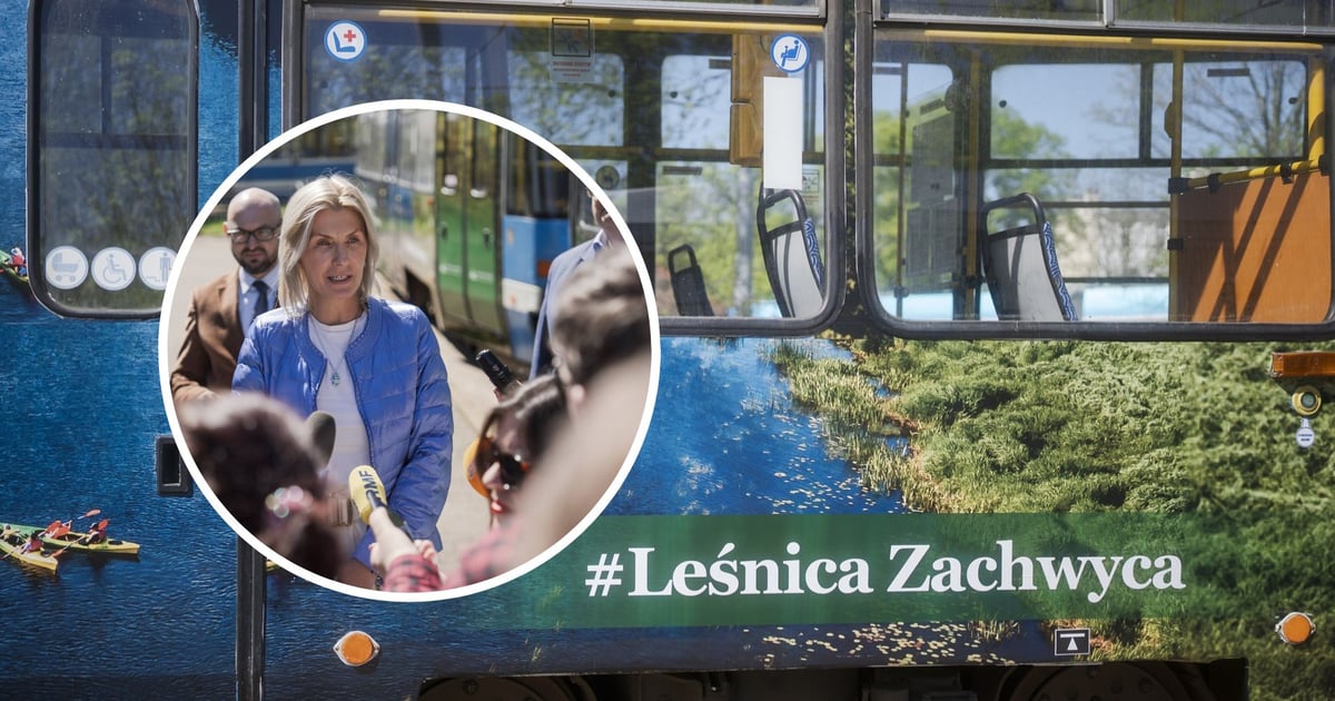 Leśnica zachwyca! Ruszyła akcja promująca atrakcje osiedla i zielony Wrocław