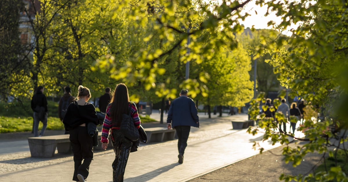 Pogoda w majówkę 2025. Sprawdź, jak będzie we Wrocławiu