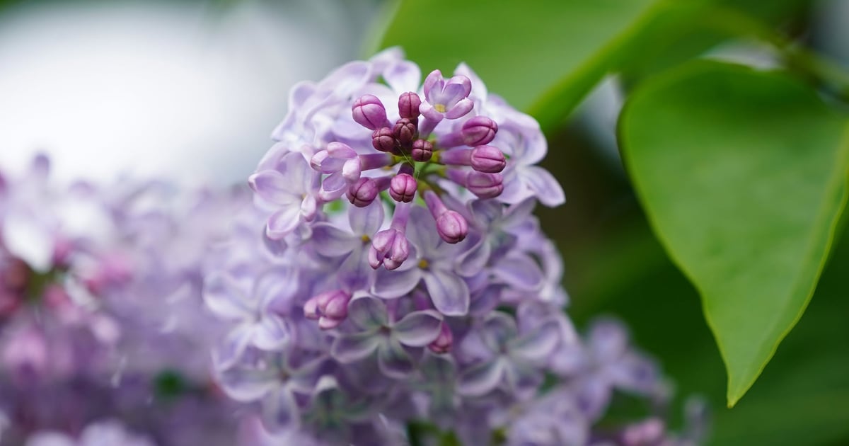 Zapowiada się piękny, słoneczny weekend! Sprawdź szczegóły [AKTUALNE STANY RZEK]