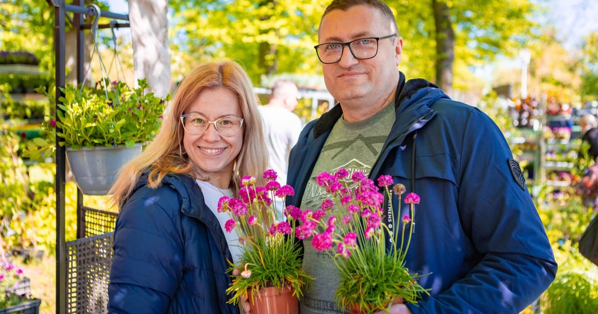 Jak tam kolorowo! Na Partynicach trwa Kiermasz Ogrodniczy