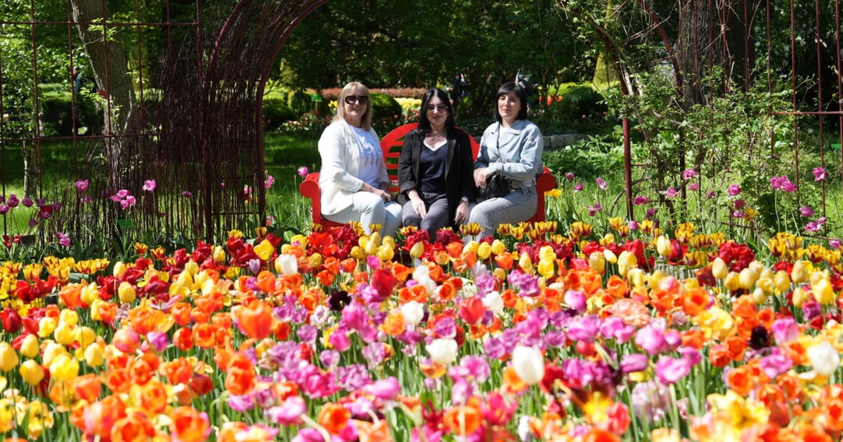 Ogród Botaniczny zachwyca! Festiwal tulipanów przyciągnął mieszkańców