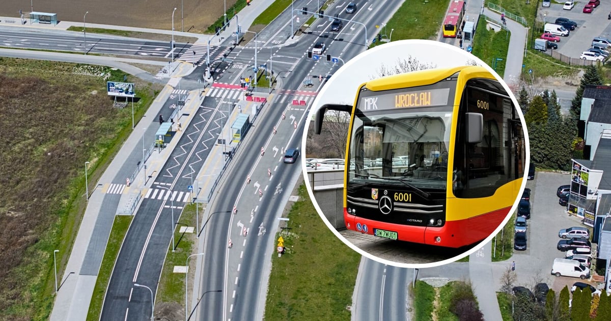 Oficjalne, szczegółowo rozpisane nowe trasy autobusów na Jagodno
