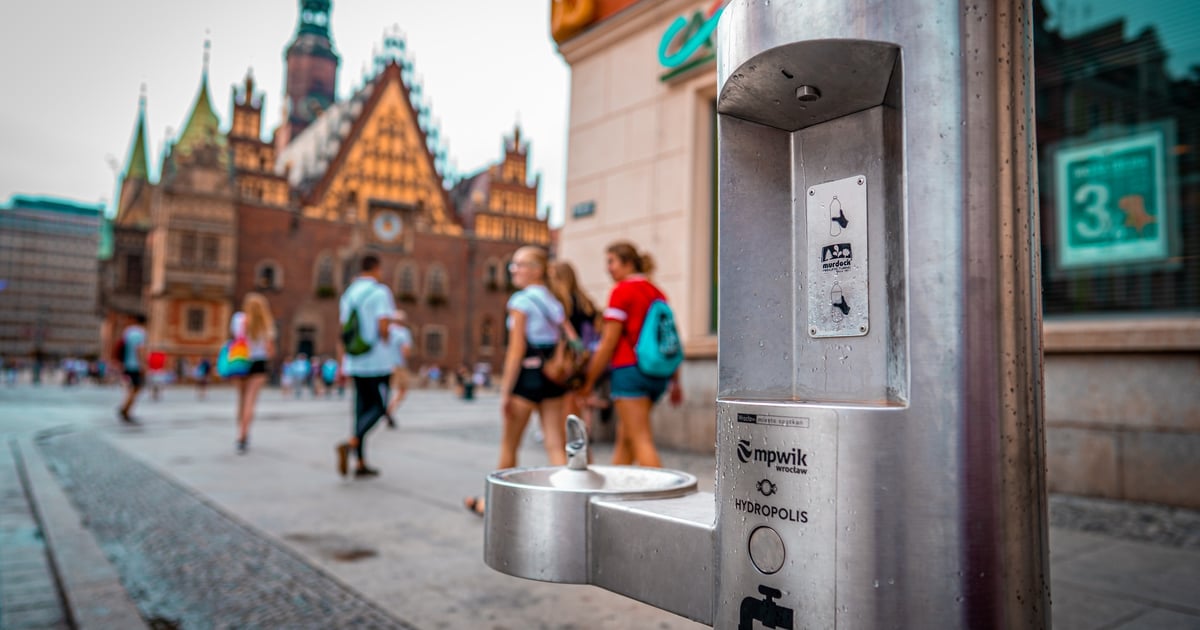 Spragnieni? Poidełka z wodą pitną wracają po zimowej przerwie