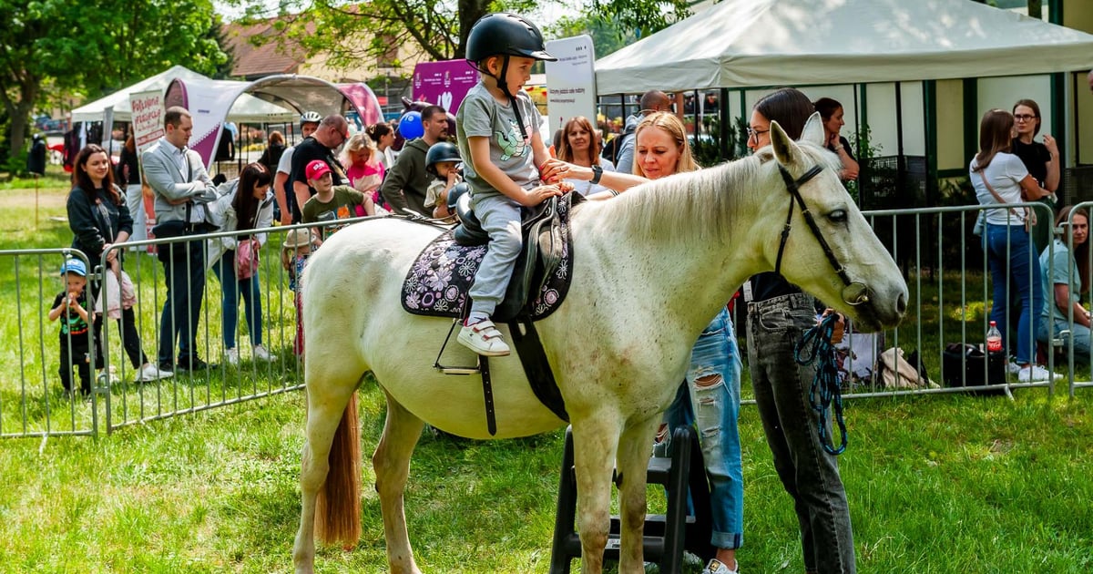 Partynice świętują 3 maja. Będą zawody jeździeckie, pokazy konne i inne atrakcje
