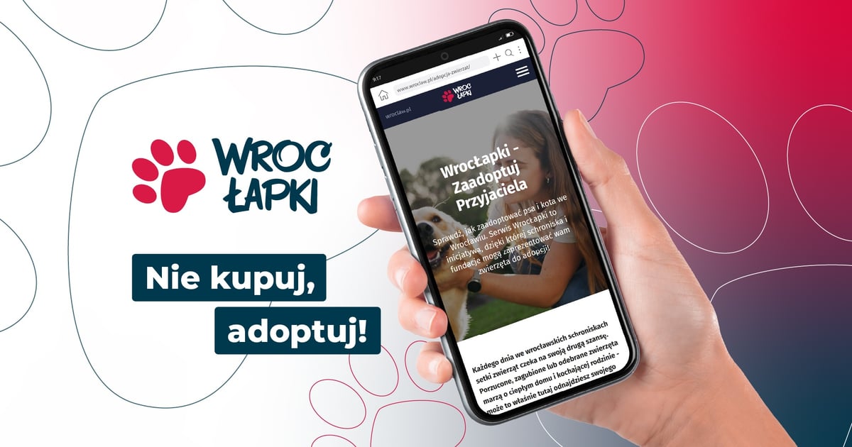 WrocŁapki – zaadoptuj przyjaciela!