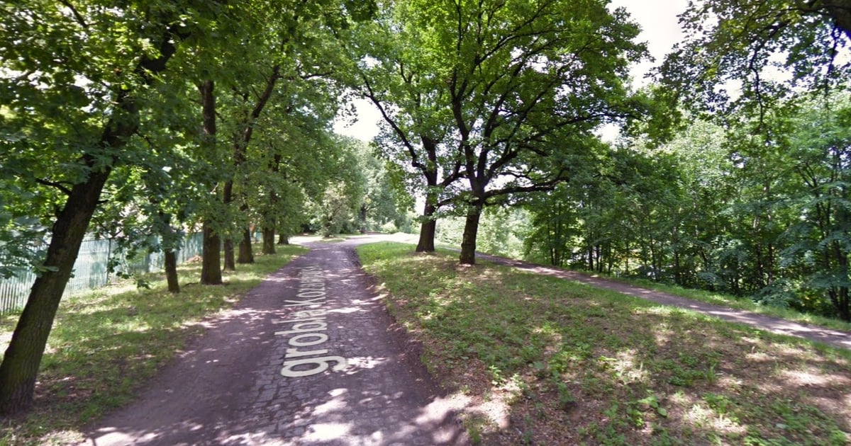 Miasto stanowczo sprzeciwia się inwestycji mieszkaniowej na Grobli Kozanowskiej [OŚWIADCZENIE]