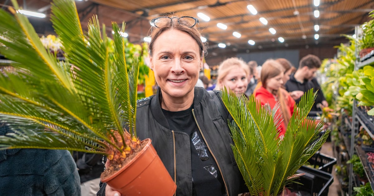 Trwa Festiwal Roślin w Czasoprzestrzeni. Raj dla miłośników zieleni |ZDJĘCIA