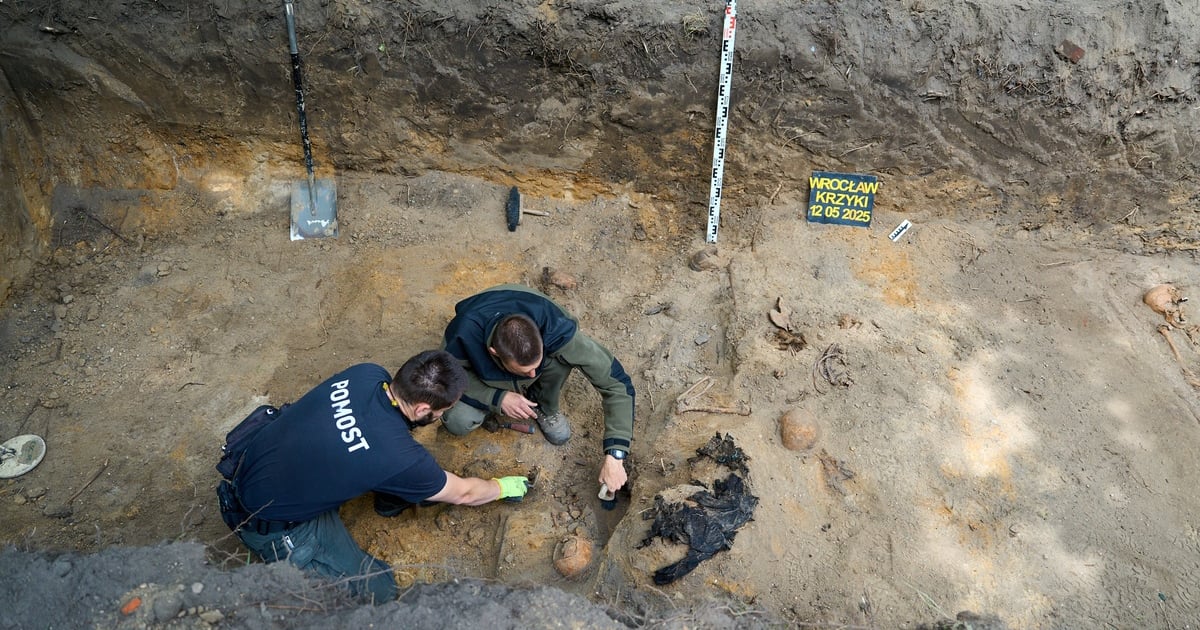 Niezwykłe odkrycie na Krzykach. Groby wojenne z okresu Festung Breslau