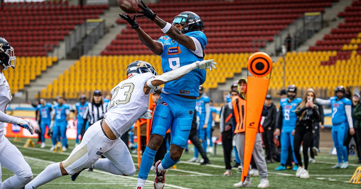 Zwycięstwo Panthers w pierwszym meczu i długa droga do fazy play-off [TERMINARZ]