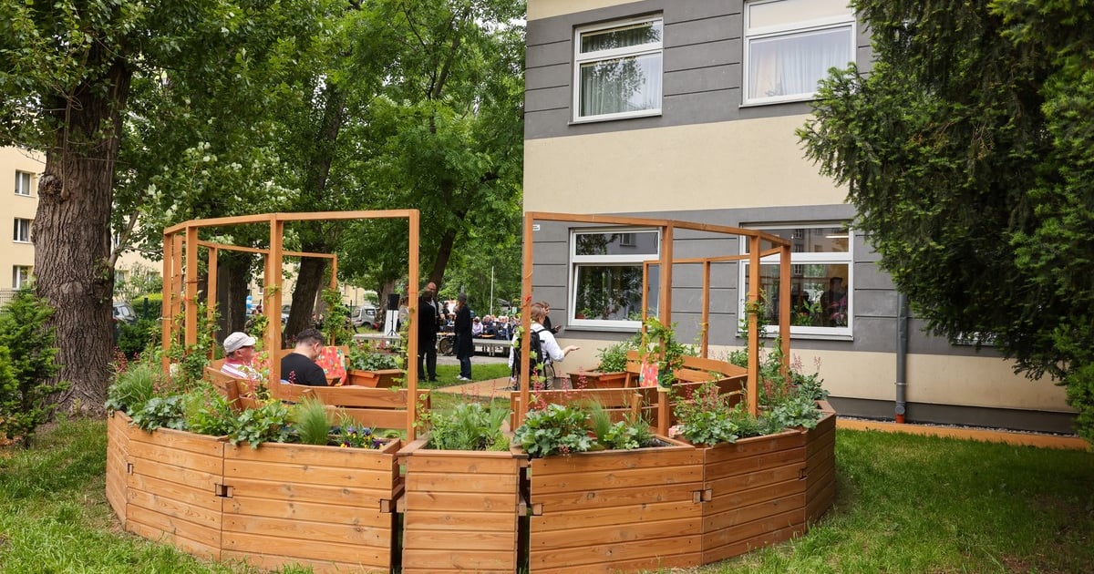 Otwarcie Ogrodu i festyn w Dziennym Domu Pomocy na Hubach