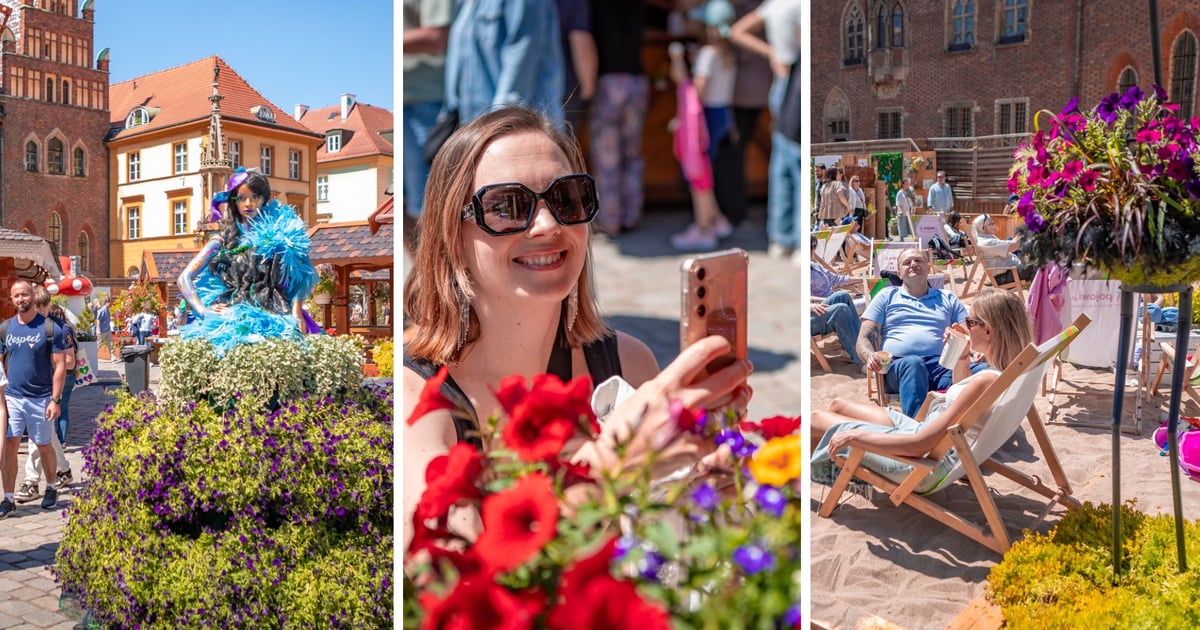 Jak tam kolorowo! Niedzielne popołudnie na Jarmarku Świętojańskim